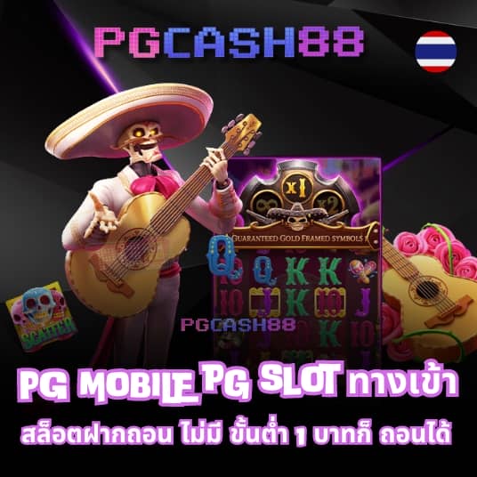 เว็บ แท้ pg
